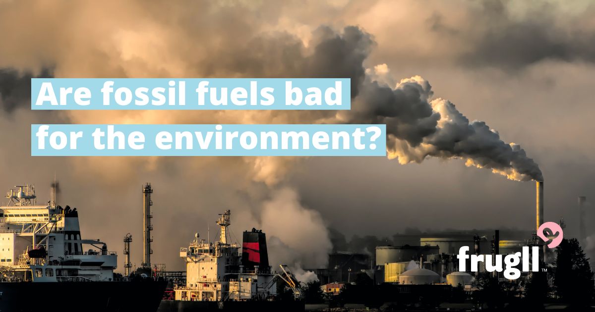 Are fossil fuels bad for the environment? Frugll
